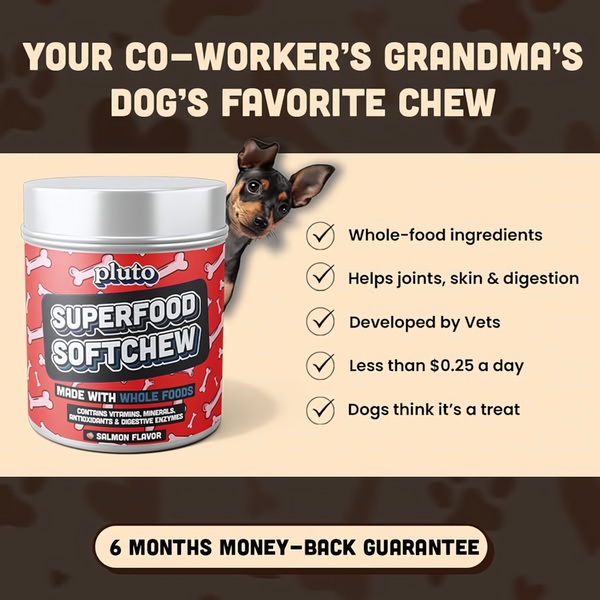 A 1:1 format ad creative for dog softchews, featuring a clean checklist of benefits, a relatable headline, and a 6-month money-back guarantee.
